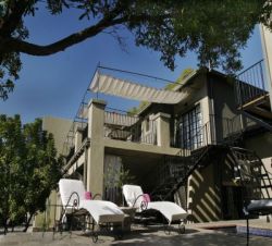 Unterk�nfte - Olive Grove Guesthouse, Windhoek